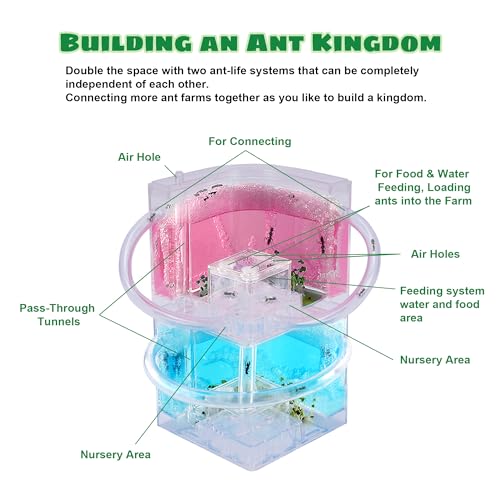 awagas Ant Farm, Large 2 Layer Gel Ant Colony Ecosystem Formicarium Ant Terrarium, Ant Habitat Science Learning Kit with Large Viewing Area, Ant Farms for Kids and Adults, Gifts (Ant Not Included) - Thumbnail 2