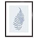 Produktbild Botanics Cobalt Fern Alpestre Art Print Brown Framed Poster Wall Decor 12x16 inch Wand Deko