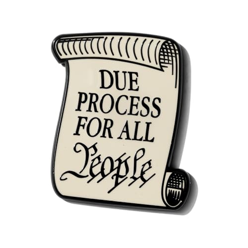 Due Process For All People Pin