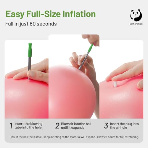 Image of Slim Panda Pilates Ball, 9 Inch Small Exercise Ball, Anti Burst Mini Yoga Ball for Stability, Workout, Barre, Core Strength, Physical Therapy, Balance, Stretching