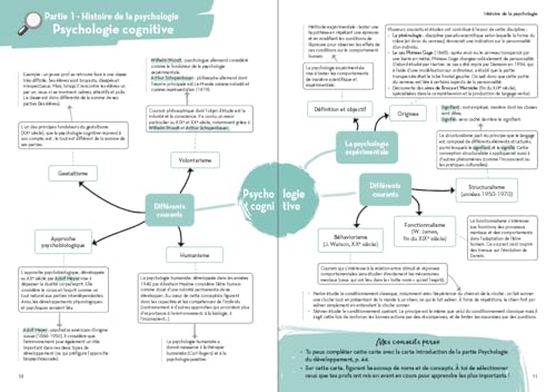 110 cartes mentales pour réussir votre licence de psycho: Mémorisez facilement tout le programme de psycho : L1 à L3 – vue 5