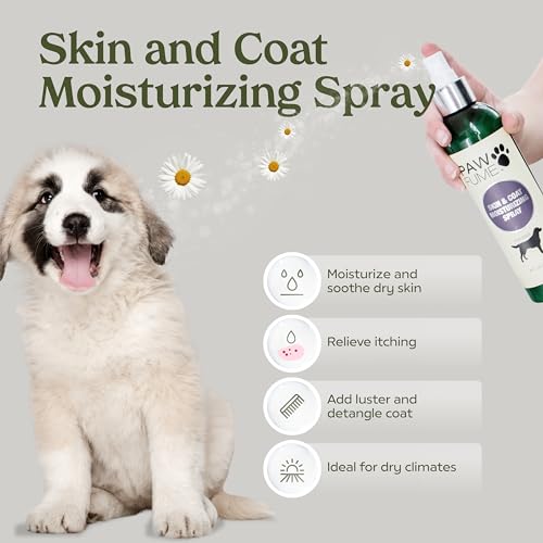Image of Pawfume Dog Gift Basket, 6-Piece Box - Give Your Pup a Spa-Quality Coat & Odor-Free Freshness - Probiotic Deodorizer Spray, Hypoallergenic Grooming Mist & Premium Brush - Dog Gift Boxes for All Breeds