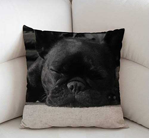 Swono French Bulldog Cotton Linen Throw Pillow Case Home Decorative Cushion Cover For Sofa Couch Bedding 18X18 Inches #TOP1