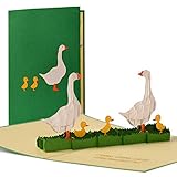 Witzige Geburtstagskarte mit Gänsemotiv und Text