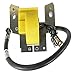 Price comparison product image DB Electrical IBS3008 New Ignition Coil for Briggs & Stratton 298316 Fits Eng Models 100200 100900 130200 130900 131200 131400 131900 298316 440-401