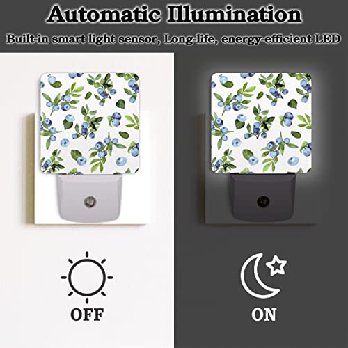 Qsirbc Night Light Blueberry Painting Motion Sensor Dusk To Dawn Led Lamp Set Of 2 Plug-In Energy Efficient Nightlights For Room Hallway Stairs Decor Aesthetic And Bedroom Essentials #TOP2