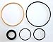 CWH 25VSK - Replacement Seal Kit for 25V Pump