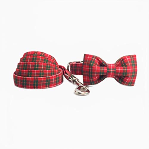 fluga eller slips 2024 Arteme