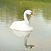Flambeau 5889LO Floating Swan, 2-Pack