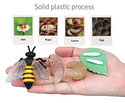 Montessori Life Cycle Animal Figures with Flash Cards, Realistic Animal Plant - Bild 10 von 71