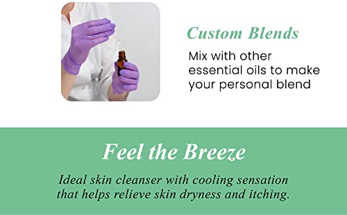 Handcraft Spearmint Essential Oil - 100% Pure And Natural - Premium Therapeutic Essential Oil For Diffuser And Aromatherapy - 0.33 Fl Oz - Pack Of 2 #TOP5