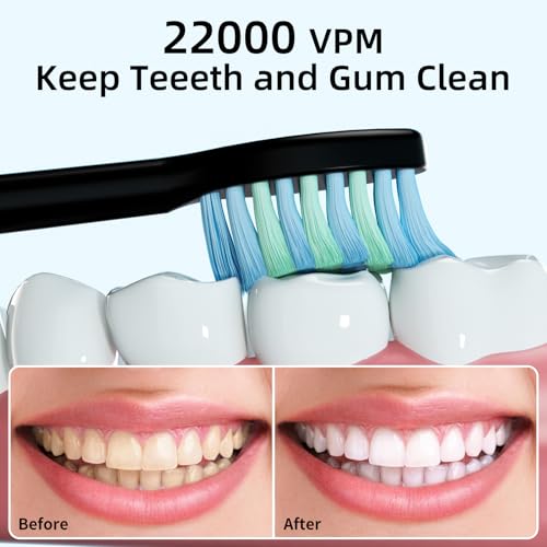 Electric Toothbrush, Sonic Toothbrushes with 8 Duponts Brush Heads, with 2 Minute Smart Timer, 6 Modes with Teeth Whitening, Rechargeable Power Toothbrush (Black, One Size) - Image 2