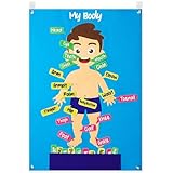 WATINC 35Pcs Body Parts Learning Felt Story Board Set Preschool Human Organ Educational Teaching Storytelling Early Learning Interactive Play Kit Wall Hanging Gift for Toddlers Kids 41 x 30 Inch
