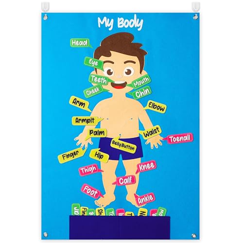 WATINC 35Pcs Body Parts Learning Felt Story Board Set Preschool Human Organ Educational Teaching Storytelling Early Learning Interactive Play Kit Wall Hanging Gift for Toddlers Kids 41 x 30 Inch