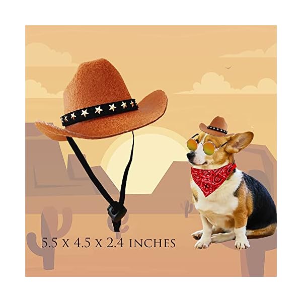 Gallarato cowboy costume for pet cowboy bandanna cowboy hat for pet cowgirl bandanna sunglasses hiphop costume for pet hippie costume - image 5