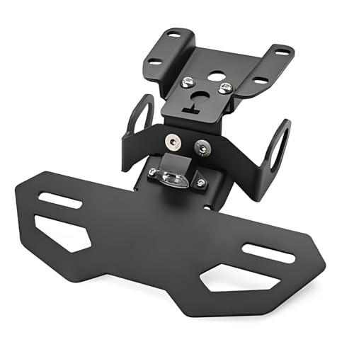 Support de plaque de licence de moto Premium en métal avec feu LED