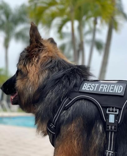 Image of AUROTH Tactical Dog Harness for Extra Large Dogs, Heavy Duty No Pull Vest
