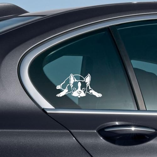 Image of WIRESTER 6 inch Clear Vinyl Decal Sticker Decoration for Car Window (Or Any Flat Surface) - Boston Terrier Dog Lying Down Looking Up