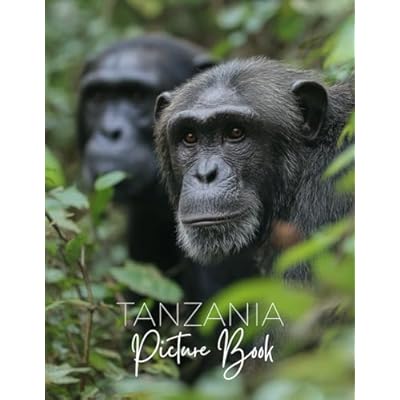 Tanzania Picture Book