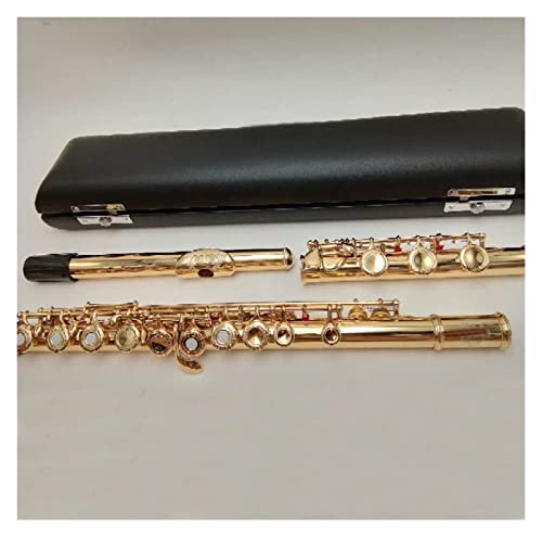 Zengxue フルート楽器 フルート彫刻手彫刻鍵金メッキフルートBレッグオープンホール17ゴールドキー