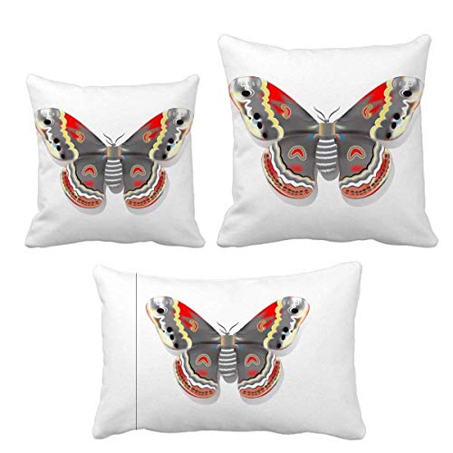 Cerf-volant 3D papillon style chinois idée cadeau originale pour anniversaire