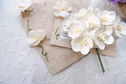 50 Pcs Mini Paper Flower White Color 20-25 Mm Mulberry Paper Flowers, Small Paper Flower For Scrapbooking Embellishment Diy Wedding Card Supplies (White Color) #TOP1