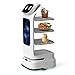 Imagen de Robot de servicio para entrega de alimentos