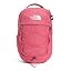 Cosmo Pink Dark Heather/Tnf White