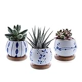 T4U 2.7 Inch Ceramic succulent Plant Pot Cactus Plant Pot Flower Pot Container Planter with Bamboo Tray Set of 3