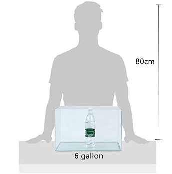 オーシャン 6フィート1.83 Amazon.com : 6 Gallon Aquarium Fish Tank，Rimless Aquarium