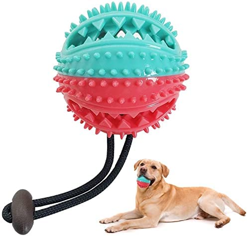 Pups&Pets Dog Toys Balls Interactive Dog Toy Treat Ball Durable Dog Chew Toys for Small Medium Dog Teeth Cleaning Chewing and Playing.. (B09QX4QDP1) Amazon Price History, Amazon Price Tracker
