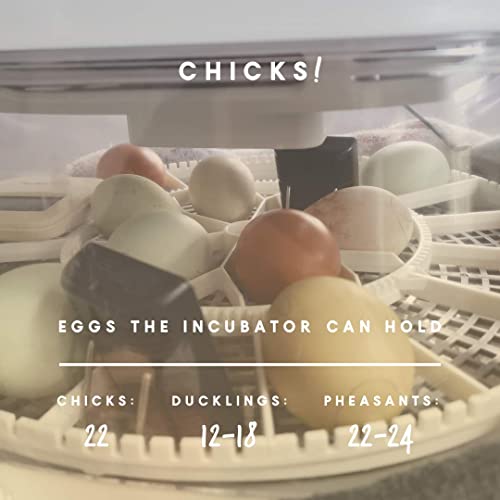 Manna Pro Harris Farms Nurture Right Egg Incubator for Hatching Chicks - Holds 22 Eggs - Automatic Egg Turner with Temperature and Humidity Control - 360 Degree View With Clear Window - Thumbnail 2