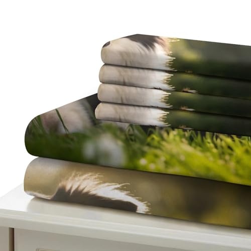 Housse de couette Border Collie 140x200 en microfibre résistante haute densité - 7