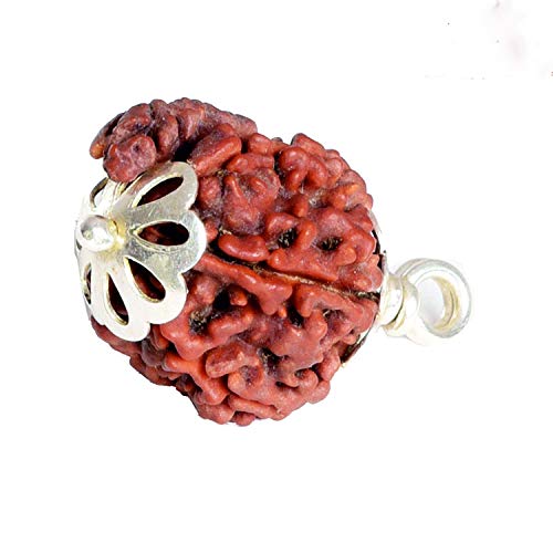 Colgante Rudraksha de Nepal en plata 925 para astrología y meditación unisex 3