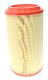 Luber-finer Genuine Luber-Finer Air Filter - AF5247