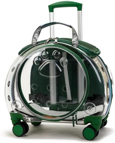 pisipe ybgL[obO ybgobO @\ L ^ LX^[4 ʋC Lknh gт₷  ʉ@ U ԍڗs dԈړ AEghA o֗ L[P[X gN (ZΐF)