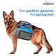 Edipets, Hundeleine, Ausziehbar und Einziehbar, 5 m, 8 m, Flexibel, für Training und Spaziergänge, für kleine, mittelgroße und große Hunde (Blau, 5 Meter)