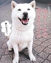 しゃべる犬 カイくんのひとりごと