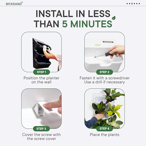 BOXSAND-6 (12"x26") Living Wall - Wall Planter, Vertical Garden for 6 Plants, Indoor/Outdoor, 2 Screws Install (White) with Black Round Pots