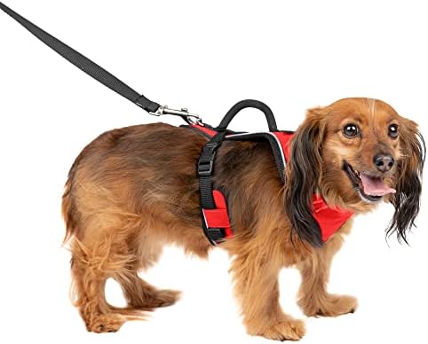 PetSafe EasySport Dog Harness, Adjustable Padded Dog Harness with Control Handle and Reflective Piping, From the Makers of the Easy Walk Harness Red Extra Small