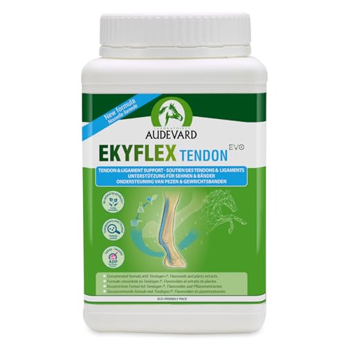 AUDEVARD EKYFLEX Ścięgno EVO 1,8 kg