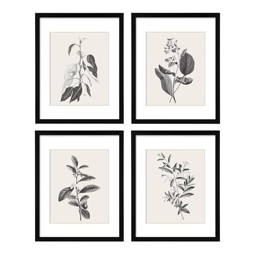 ArtbyHannah Framed Wall Art for Kitchen Rustic Wall Decor, 8x10 inch Black Picture Frames Collage Set with Herbs Plants Botanical Pictures Prints for Dinning Room Bathroom Decorations, Set of 4