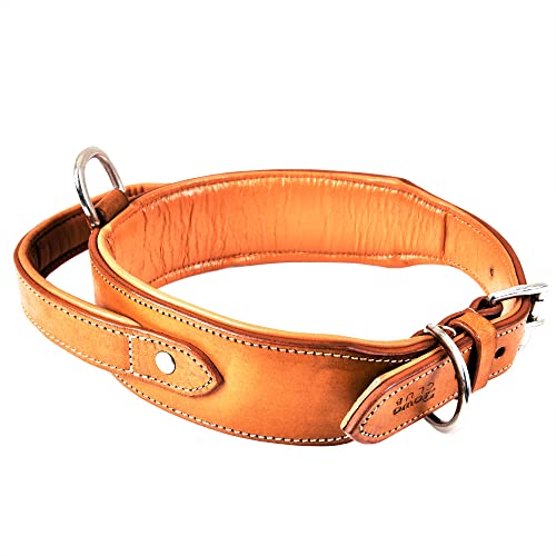 DowgClub, Light Brown, XL (Fit Neck Size 22"-26")