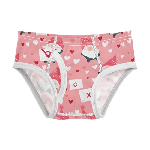 Pink Gnomes Heart Valentine Day Toddler Boy's Underwear 2T 202b9110