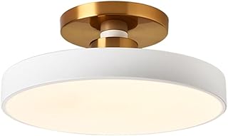 ITOSUI Lámpara de Techo contemporánea de Lujo semiempotrada, Redonda, de Metal Azul, con Placa, superbrillante y Delgada, Regulable, para Dormitorio, Color Blanco, 40 cm