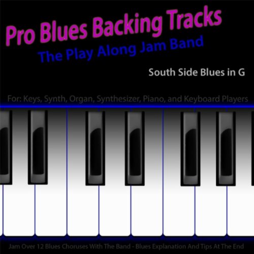 Amazon.co.jp Pro Blues Backing Tracks (South Side Blues in G) [12 Blues Choruses With Tips for