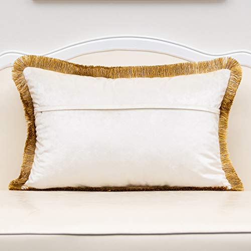 Alerfa 16 X 24 Inch White Rose Flowers Cushion Case Luxury Velvet European Throw Pillow Cover With Tassel Decorative Pillow For Couch Living Room Bedroom Car 40 X 60Cm #TOP1