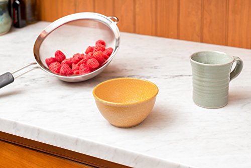 Evo Sustainable Goods 10 Oz. Bowl Set, Brown #TOP2