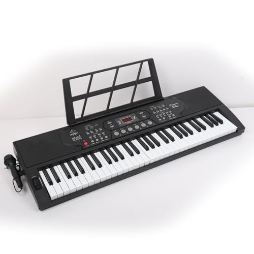 61 Key Keyboard Piano, Portable Electronic Keyboard Piano for Beginners