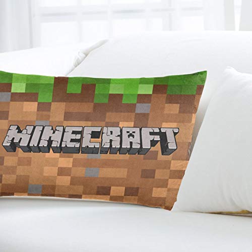 Rectangular Decorative Pillowcase Cover, Zippered Oblong Pillow Protector Sham, Mine_Craft Lumbar Waist Cushion Throw Pillow Cover for Sofa Couch Bed Chair Home Decor (No Pillow Insert) (20\'\' x 30\'\')